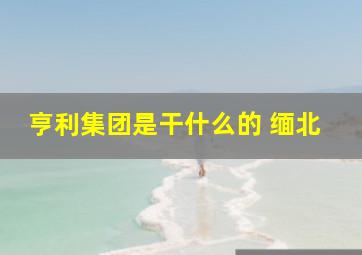 亨利集团是干什么的 缅北